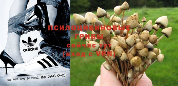 мдпв Белокуриха