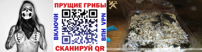 продажа наркотиков  Туймазы  Псилоцибиновые грибы Psilocybine cubensis 
